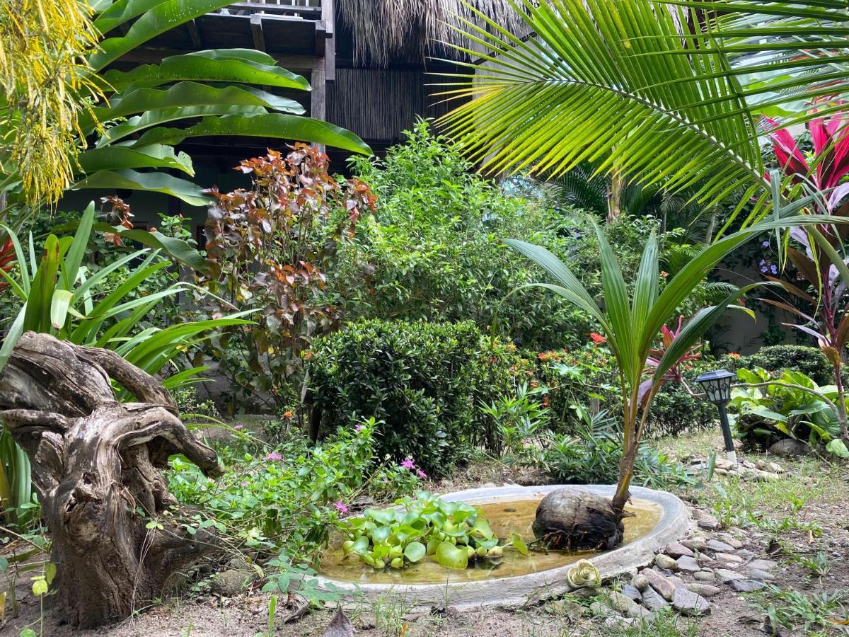 Hotel Casa Juana Palomino Exteriér fotografie