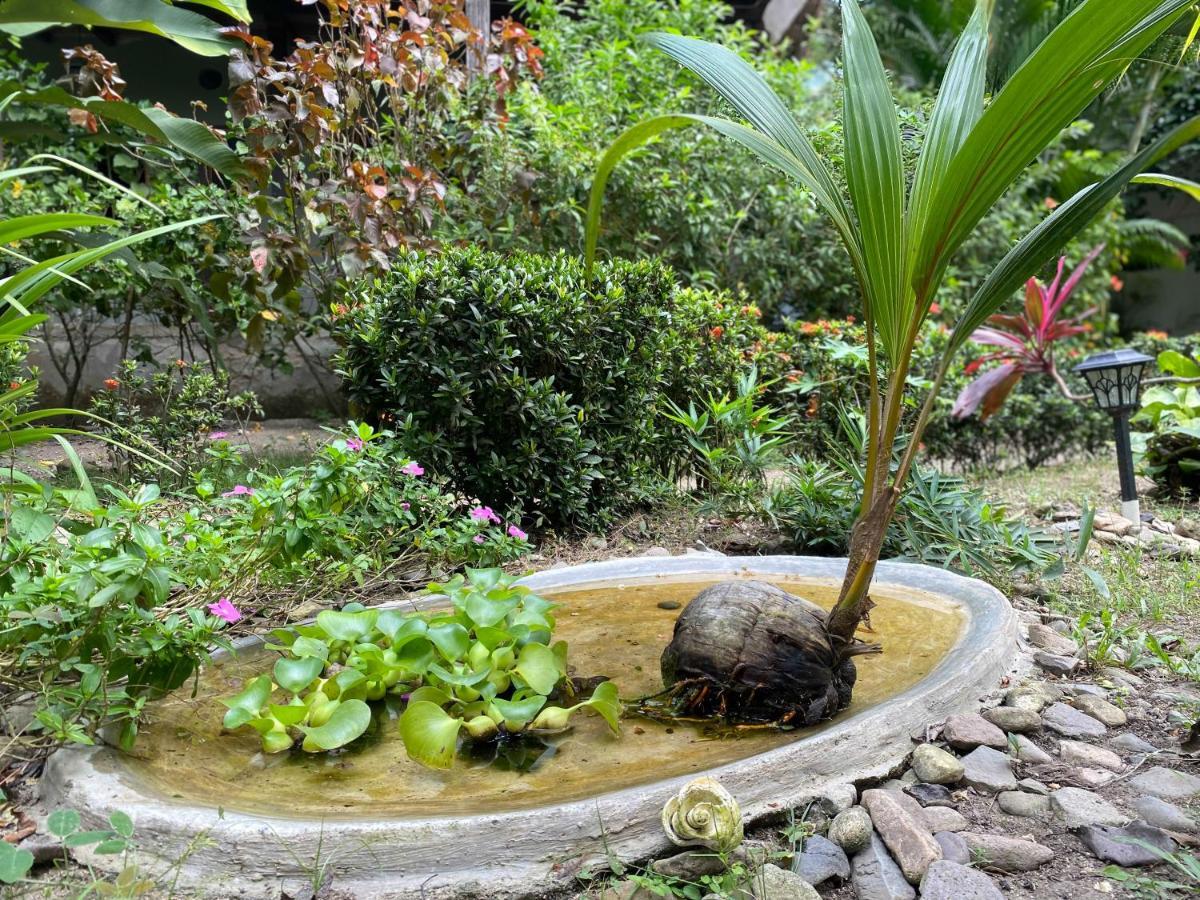 Hotel Casa Juana Palomino Exteriér fotografie